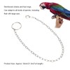 Large Parrot Anklet Stainless Steel Bird Ankle Rings for Bird