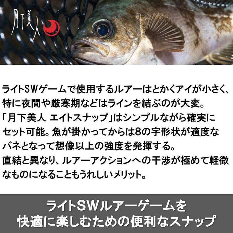 DAIWA 815451 Eight Snap Aging, Mebaling, Tsukishita Bijin T, Value