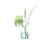 LSA Flower Base, Clear, W7xD7xH13cm, LSA LCQ07, G1583-00-161