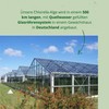 PureRaw Chlorella Pellets from Germany - Chlorella Tablets Algae Rich