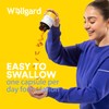 Turmeric Capsules High Strength by Wellgard, Turmeric 95, Curcumin, Made