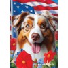 Australian Shepherd Red Merle - Best of Breed All-American Patriotic