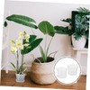 Abaodam 2 Sets Clear Plastic Orchid Pots of Breathable Planters