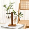 Wood and Glass Plant Propagation Stand for Indoor Cuttings –