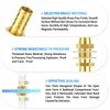 TAILONZ PNEUMATIC 5PCS Brass Hose Thru-Bulk Bulkhead Fitting 6mm to
