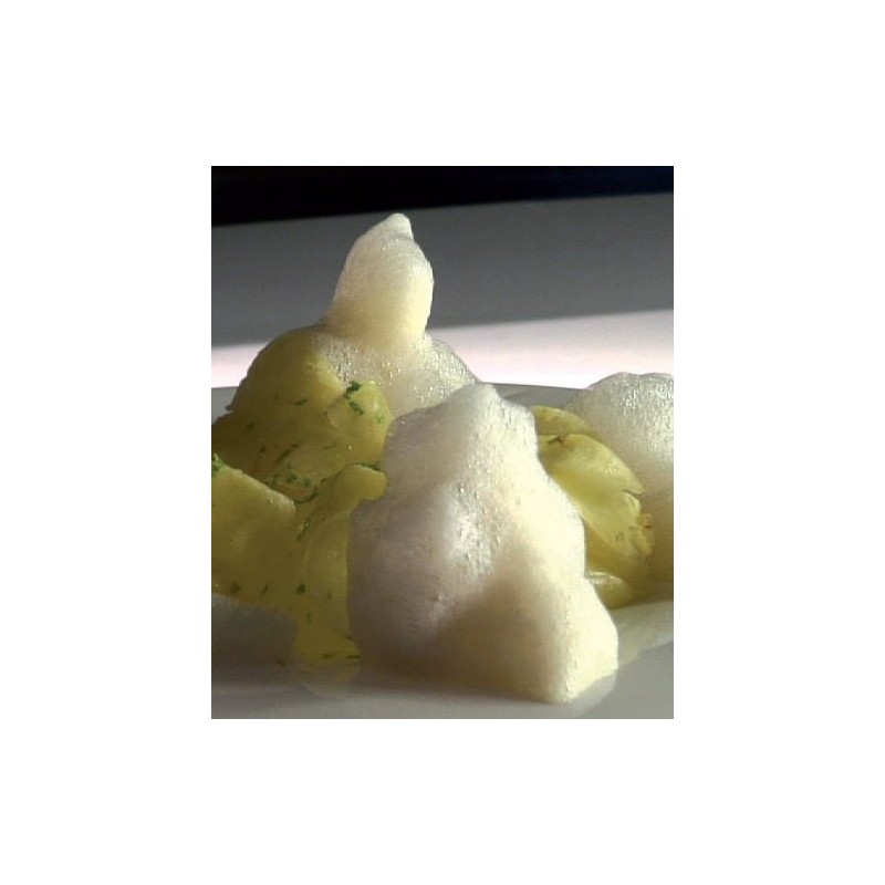 Albert y Ferran Adrià Super Texture 600g