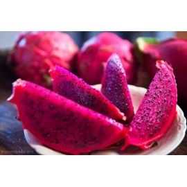 Home-Growth Sweet Red Dragon fruit/ Pitahaya - 60 Seeds 2025 - USA