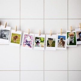 50 PCS Wood Clip, Clothes Pins, Mini Clothes Pins, Wooden Photo Clips, Wooden Clothespins, Pins for Clothing, Clothes Pins Wooden, Clothes Pins Outdoor, Wooden Clamp for Crafts Hanging Photos, Wooden