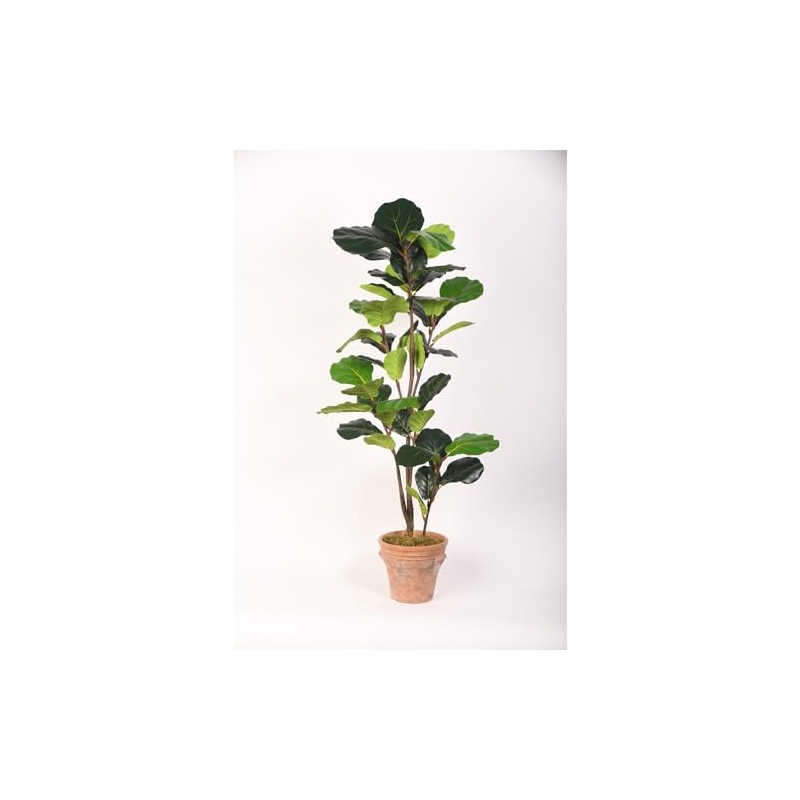 D&W Silks 48" Fiddle Leaf Fig Tree in Terra Cotta
