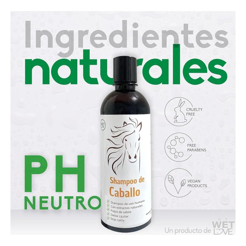 Shampoo De Romero Shampoo Anticaída De Sabila Y Jojoba