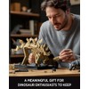 Nifeliz Stegosaurus Fossils Model Set, Dinosaur Skeleton Building Set with