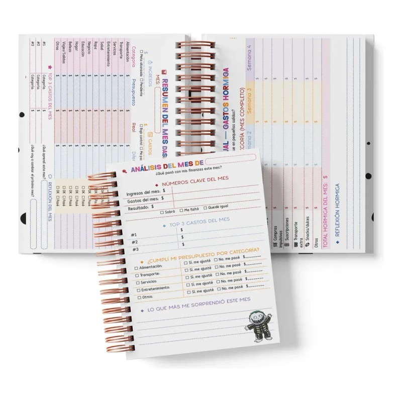 Libreta Organigastos Anual| Control De Gastos Jack And Sally