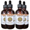 Horehound (Marrubium vulgare) Liquid Extract 4x4 Oz