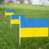 Anley Ukraine Mini Flag 12 Pack - Hand Held Small