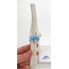 Mini size elbow joint model for easy handling, articulating movable