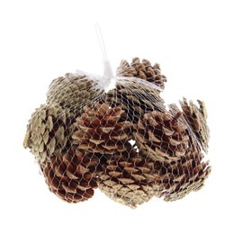 Festive Productions Bag of Pinecones Decoration - Natural Colour - 200 Grams - Autumn Decoration Pinecone Themed Décor Prop - Autumnal Decoration - Perfect for Home, Kitchen, Living Room, Hanging