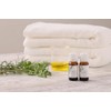 Marjoram (Sweet) 10ml NATURELLE Natural Essential Oil