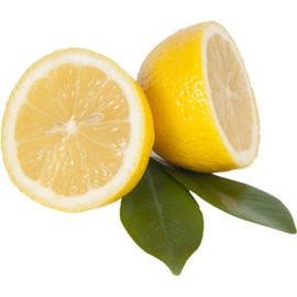 TW-DES Descaler for fresh water tanks, caravan, yacht