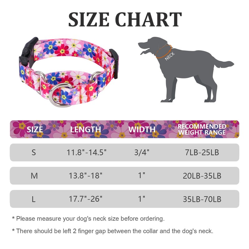 Rhea Rose Dog Martingale Collar with Quick Release Buckle, Adjustable