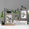 6-Inch Iron Art Hydroponic Photo Frame - Double-Sided 4x6 Glass
