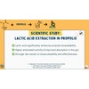 PROPOLUX Alcohol-Free Propolis Drops – Unique Lactic Acid Extraction, PG-Free
