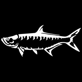 Express Yourself Products Tarpon Wall Decal (White - Reverse Facing - XL) - Saltwater Fish Collection