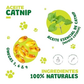 Waggys Aceite Relajante  Catnip para Gatos - Apoyo para el manejo de Estrs y Ansiedad, Inflamacin, Piel y Pelo - Adicionados con Omegas y Aceite...   