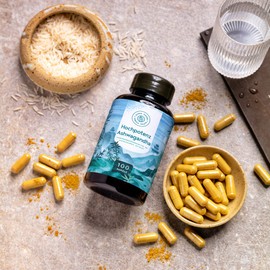 Ashwagandha Capsules High Dose - 500 mg Ashwagandha Extract per Daily Dose with 35 mg Withanolide - Indian Sleep Berry - 100 Vegan Capsules