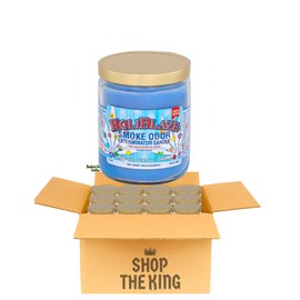 Bulk Smoke Odor Exterminator 13 oz Jar Candles Ultimate Odor Elimination Case of 12 (Holiblaze)
