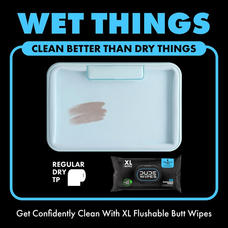 Dude Wipes - Flushable Wipes Unscented - (6 Pack) 288
