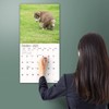 MICASA Pooping Puppies 2025 Wall Calendar 12 Month | 12"