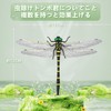 2025年新型「市販最大 オニヤンマ16センチ」虫除けとんぼ リアル 虫除け対策 肉食トンボ 耐久性PVC素材 安全ピン付きストラップ付き 釣り 室内装飾 ベランダ