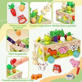 Juguetes Montessori para Niños, Juguetes Educativos, Juguete de Clasificación de Formas, Juego de Habilidades Motoras Finas de Aprendizaje Preescolar, Regalos de Navidad para Niños y Niñas