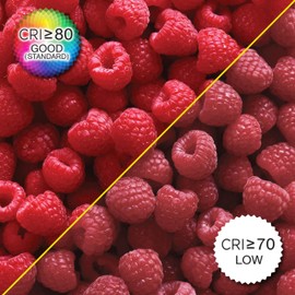 LUMINUS 6-Pack A19 LED Bulbs 60W Equivalent (8W) 800 Lumens 25000 Hours Lifespan Dimmable 5000K Daylight