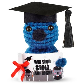 QRKPVHD Lucky Charm Exam, 2025 Academics Doctors Koala with Diploma and Doctor's Hat, Pocket Hug, Happy Doctors, Koala Positive Gifts (Dr Koala)