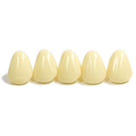 Dental Polycarbonate Temporary Crowns Refills (40)