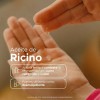 Aceite de Ricino Puro Pacalli 2 Pack Cejas Pestañas Cabello