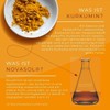 Naturecan Active Turmeric Capsules with Vitamin D3 Contains 500 mg
