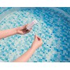 Bestway 3-in-1 Pool and Spa (Lay z Spa) Test Strips
