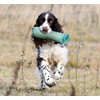Romneys Standard Dummy 500 g Dog Fetch - Extremely Robust