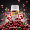 Remedio Herbolario Extracto Arandano Diente Leon Cola Caballo Cocolmeca Coadyuvante