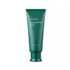 Ayounchae 아윤채 리밸런싱 헤어 팩 스칼프 마스크 100ml Ayunche Relief Balancing Hair Pack Scalp Mask 100ml