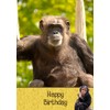 Monkey Chimp Birthday Card