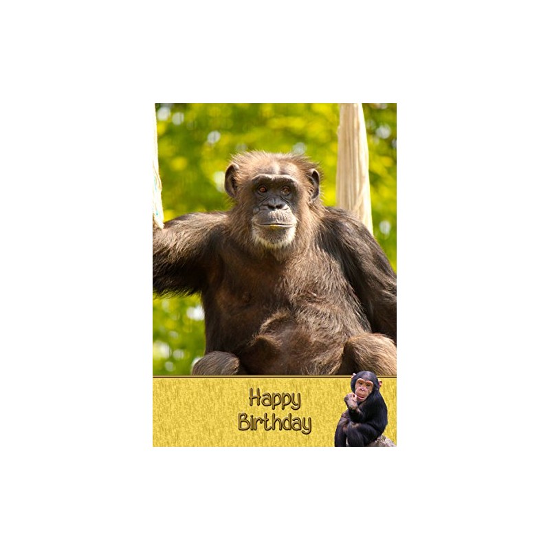 Monkey Chimp Birthday Card
