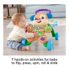 Fisher Price Caminador Perrito Andadera !!! Color Azul Azul
