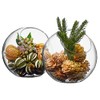 SOLAVIA Slant Bowl Planter Terrarium for Planting Home Decor H18cm