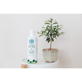 Bonsai Tree Food | Liquid Fertilizer for Bonsai Trees - 8 Fluid Ounces (3-3-3 NPK Ratio)