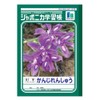 Showa Note JL-49-1 Japonica Learning Book, Kanji Practice, 91 Characters