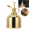 Professional Stainless Steel Watering Can with Top Pump for Succulent