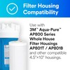 Aqua-Pure Whole House Large Dia. Replacement Filter, Model AP817